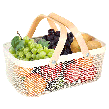 Metal Mesh Steel Basket with Handle - Delicate and Durable Garden Bask